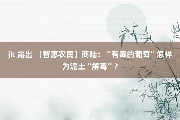 jk 露出 【智惠农民】商陆：“有毒的葡萄”怎样为泥土“解毒”？