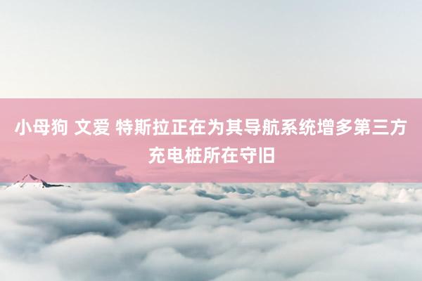 小母狗 文爱 特斯拉正在为其导航系统增多第三方充电桩所在守旧