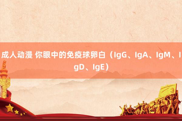 成人动漫 你眼中的免疫球卵白（IgG、IgA、IgM、IgD、IgE）