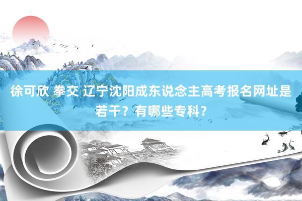 徐可欣 拳交 辽宁沈阳成东说念主高考报名网址是若干？有哪些专科？