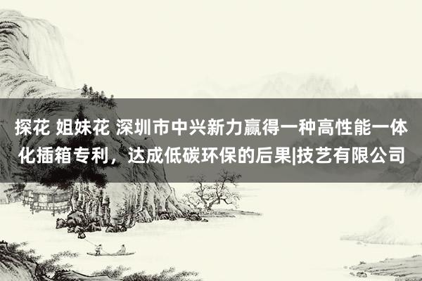 探花 姐妹花 深圳市中兴新力赢得一种高性能一体化插箱专利，达成低碳环保的后果|技艺有限公司