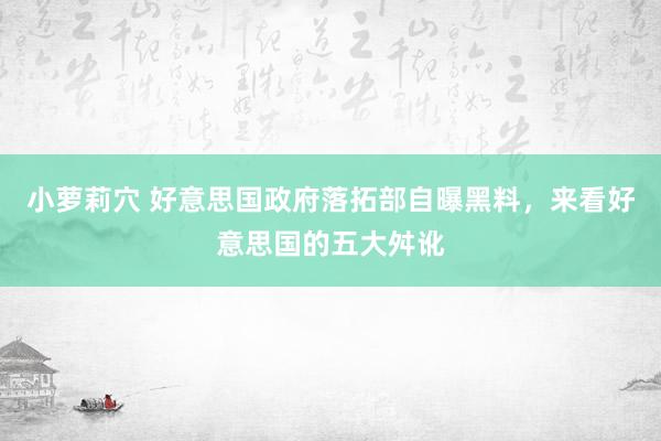 小萝莉穴 好意思国政府落拓部自曝黑料，来看好意思国的五大舛讹