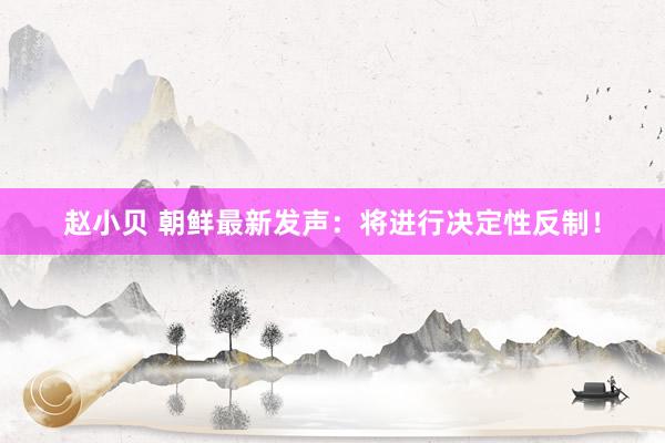 赵小贝 朝鲜最新发声：将进行决定性反制！