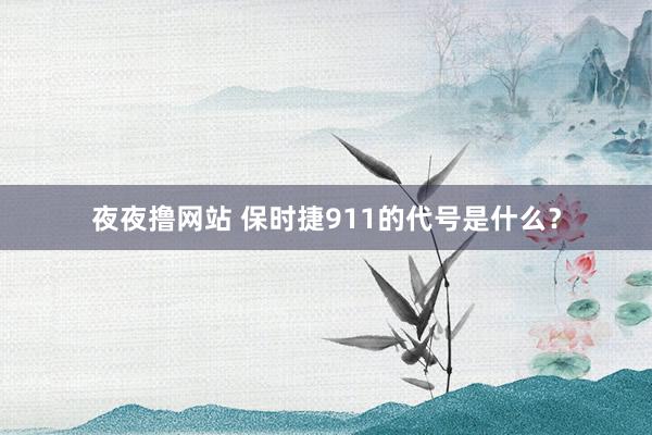 夜夜撸网站 保时捷911的代号是什么？