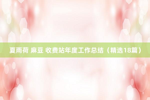 夏雨荷 麻豆 收费站年度工作总结（精选18篇）