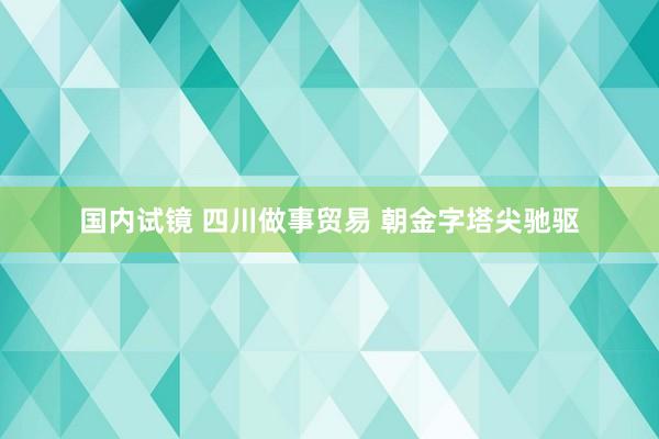 国内试镜 四川做事贸易 朝金字塔尖驰驱