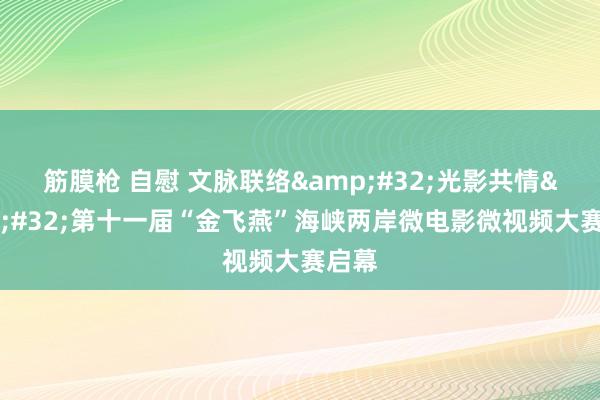 筋膜枪 自慰 文脉联络&#32;光影共情&#32;第十一届“金飞燕”海峡两岸微电影微视频大赛启幕