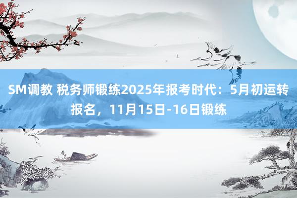 SM调教 税务师锻练2025年报考时代：5月初运转报名，11月15日-16日锻练