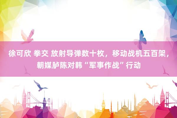 徐可欣 拳交 放射导弹数十枚，移动战机五百架，朝媒胪陈对韩“军事作战”行动