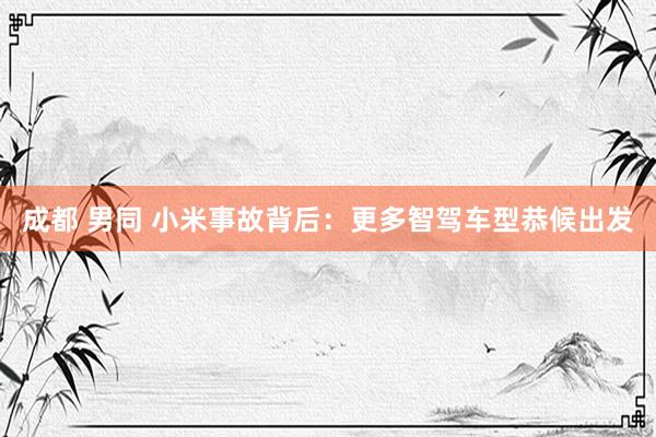 成都 男同 小米事故背后：更多智驾车型恭候出发
