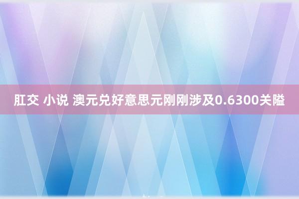 肛交 小说 澳元兑好意思元刚刚涉及0.6300关隘